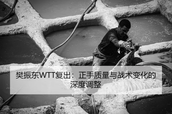 樊振东WTT复出：正手质量与战术变化的深度调整